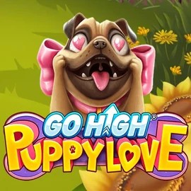 Go High Puppy Love slot logo by RubyPlay at Big Boost Casino